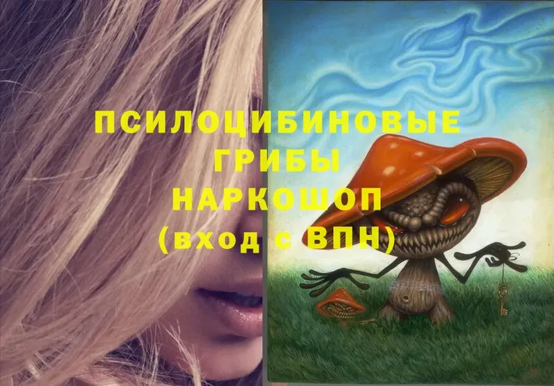 Галлюциногенные грибы MAGIC MUSHROOMS Кизилюрт